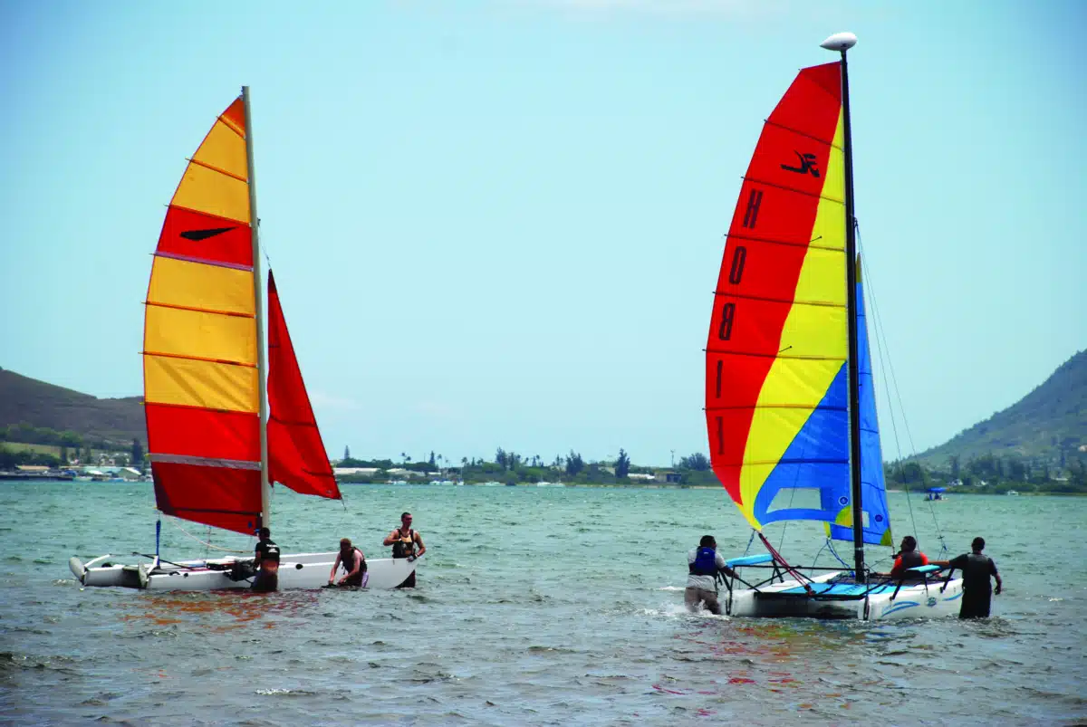 Habilitat Inc - Thumbnail 3